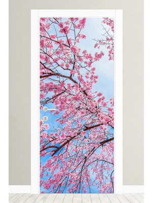 Özbey Reklam Kapı Kaplama Giydirme Folyo Sticker