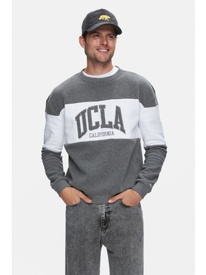 ARCHER Koyu Gri Bisiklet Yaka Nakışlı Şardonlu Loose Fit Erkek Sweatshirt