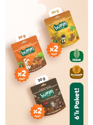 Organik Glutensiz Vegan Kek Atıştırmalık Paketi - 6 Adet (3 Çeşit)