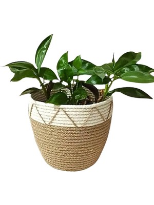 Hakici Jüt Hasır Örgü Dekoratif Saksı Sepet