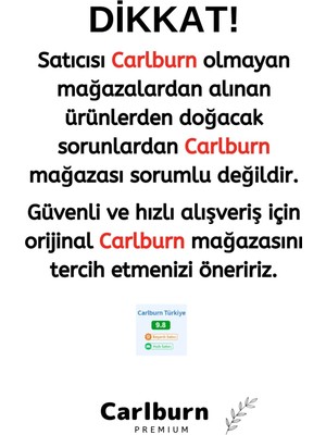 Özel Üretim Lüks Noel Parti Dekoratif Yeni Yıl Kış Yılbaşı Çam Ağacı Süsü Kozalak Altın 6'lı