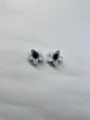 Yağmur Kaktüs 2 Adet, Renkli  Mandallı 3 cm Lotus Çiçeği Toka Kadın/kız/çocuk