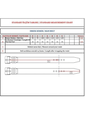 DeFacto Erkek Suni Deri Günlük Kemer D3284AXNS