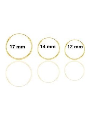 Söğütlü Silver Gümüş Altın Yaldızlı Üç Boydan Oluşan Halka Küpeler