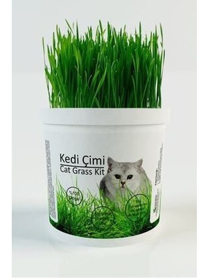 Agroera Kedi Çimi Doğal 10 cm Uzunlukta Tüy Yumağı Önleyici Evcil Hayvanlar İçin