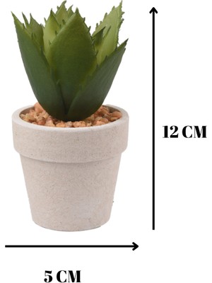 Dekoratif Agave Bovicornuta Yapay Çiçek