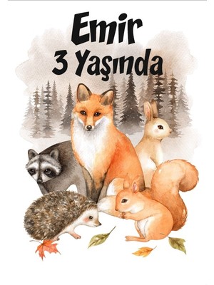 Orman Hayvanları Temalı Doğum Günü Afişi -2 35X50 cm