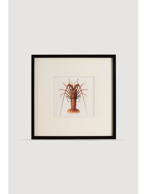 Lasttouch Ocean Serisi Tablo No : 1