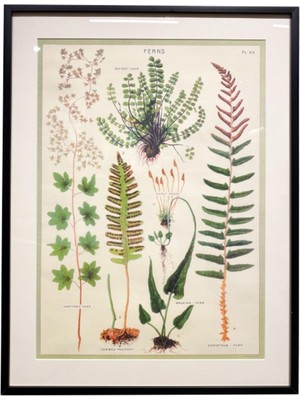 Lasttouch No:38 Tablo