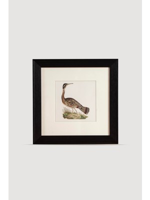 Lasttouch Bird Serisi Tablo No: 2