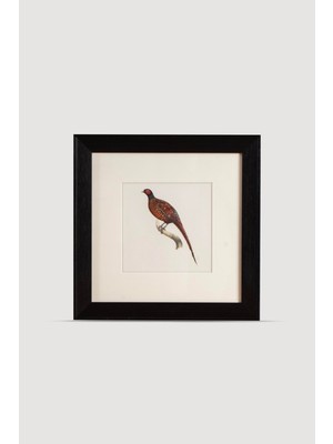 Lasttouch Bird Serisi Tablo No: 5