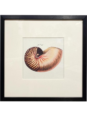 Lasttouch No:24 Tablo