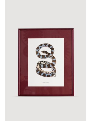 Lasttouch Serpent Serisi Tablo No:1