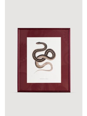 Lasttouch Serpent Serisi Tablo No:3