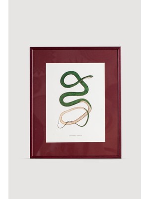 Lasttouch Serpent Serisi Tablo No:5