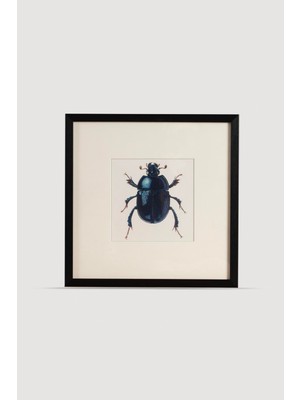 Lasttouch Bogue Tablo Serisi No: 1