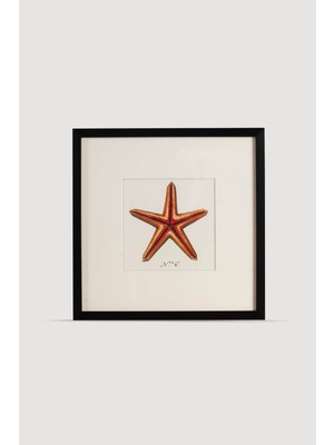 Lasttouch Ocean Serisi Tablo No : 3