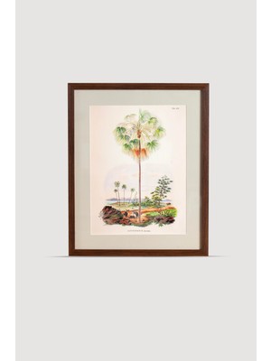 Lasttouch Tropical Serisi Tablo No:2