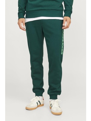 Jpstgordon Jjalvıs Sweat Pants Naf YEŞİL12258477