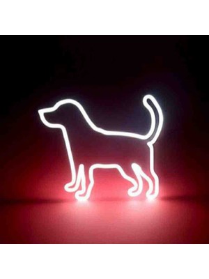 Kamer Neon LED Işıklı Köpek