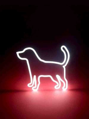 Kamer Neon LED Işıklı Köpek