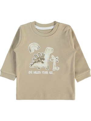 Kiko Kids Dinosaurs Baskılı Erkek Bebek Sweatshirt 2'li