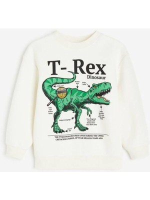 Miya Miya Design T-Rex Sweat