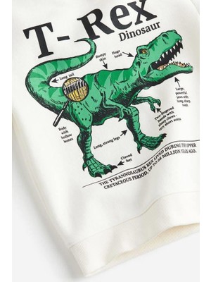 Miya Miya Design T-Rex Sweat