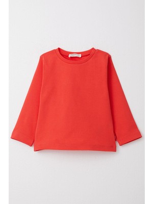 Breeze Erkek Çocuk Uzun Kollu Tişört Basic 1-4 Yaş, Narçiçeği