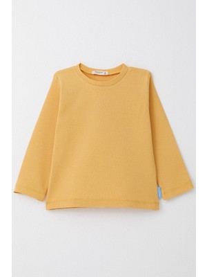 Breeze Erkek Çocuk Uzun Kollu Tişört Basic 1-4 Yaş, Hardal Sarı