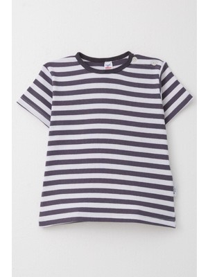 Breeze Erkek Çocuk Tişört Patlı Çizgili 1-4 Yaş, Füme