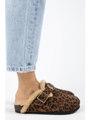 Manijero (Zeta 2 Kürklü Leopar) Kadın  Deri Kemerli Tokalı Sabo Taba Terlik