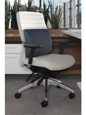 Ortopedik Sırt Minderi Bel Yastığı