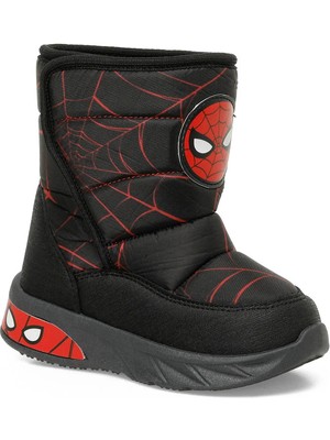 Marvel Spider-Man Erkek Çocuk Bot & Bootie Siyah 101915604 4W LEROY.P4PR