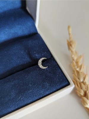 Su Perisi Takı Bijuteri Cerrahi Çelik Gümüş Ay Tragus Piercing