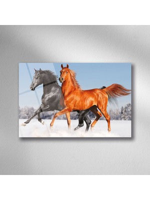 Trenddecors Karda Atlar Cam - 25*35