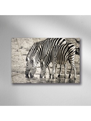 Trenddecors Siyah Beyaz Zebra Ailesi Doğa Cam