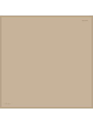 Düz Renk Sura Ipek - 21 - 90X90