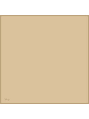 Düz Renk Sura Ipek - 30 - 90X90