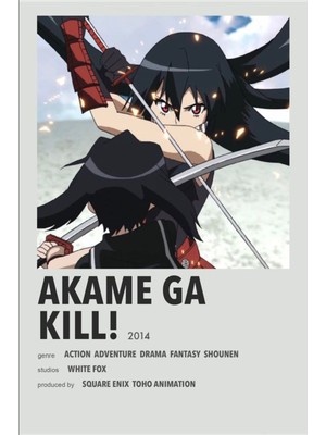 Rollas Store Akame Ga Kıll Anime A4 Boy Poster