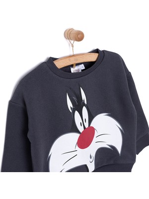 Loney Tunes Looneytunes Looney Tunes Erkek Sweatshirt Erkek Bebek