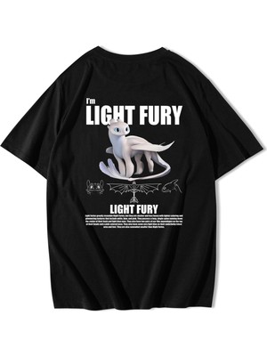 BRZ Collection Oversize Light Fury Ejderhanı Nasıl Eğitirsin T-Shirt