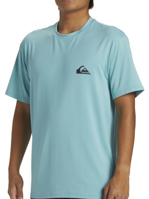 Quıksılver Everyday Surf Tee Ss Erkek T-Shirt AQYWR03135-QK.BHA0