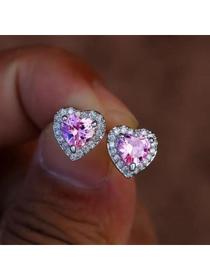 SE Jewellery Kalpli Pembe Taşlı Gümüş Renk Şık Kadın Küpe