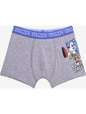 Penti Erkek Çocuk Sonic 2li Çok Renkli Boxer