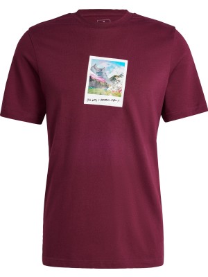 Adidas Sportswear IS9045 All Day I Dream About... Graphic Tee