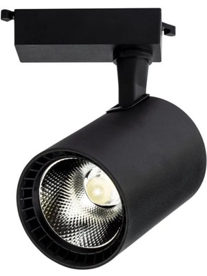 Noas 30W Paris Siyah Kasa Ray Spot Beyaz Işık YL29-3101