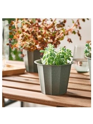 IKEA Buskverk Gri Yeşil 9 cm Çelik Saksı