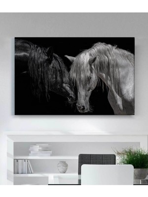 Prime Concept Siyah Beyaz At Kanvas Tablo