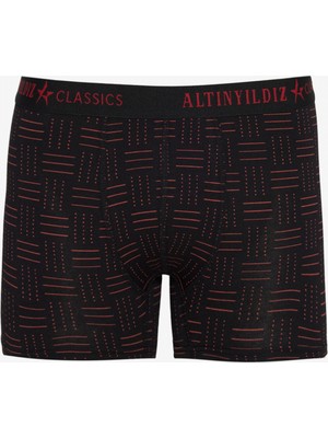 Altınyıldız Classics Standart Fit Modal Pamuk Desenli Esnek 3'lü Boxer Paketi